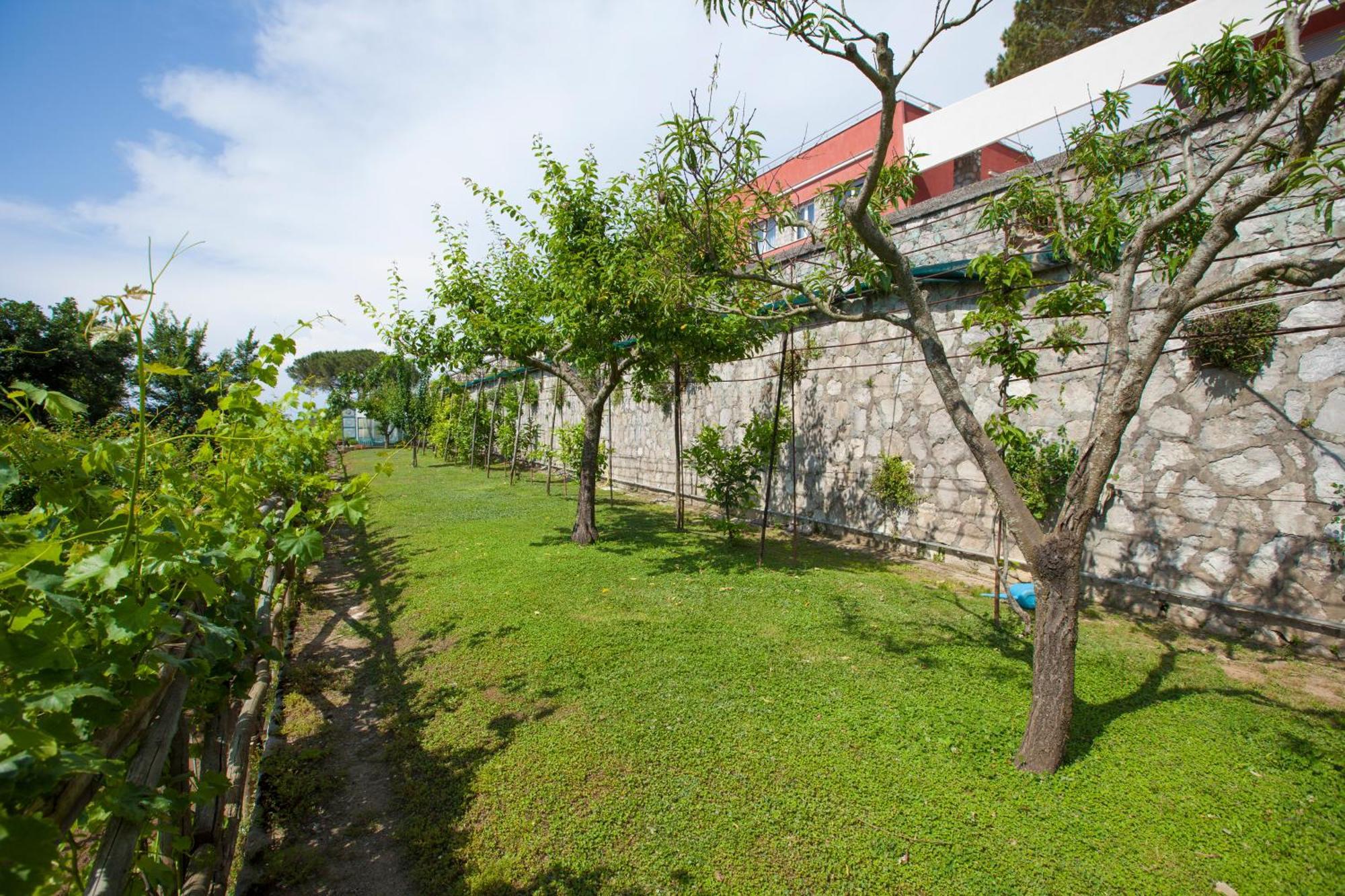 Villa Mambrini Sorrento Eksteriør bilde
